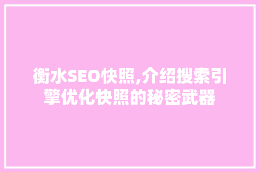 衡水SEO快照,介绍搜索引擎优化快照的秘密武器