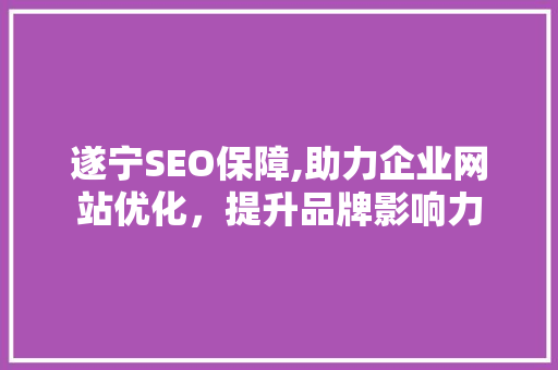 遂宁SEO保障,助力企业网站优化，提升品牌影响力