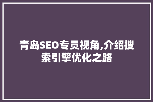 青岛SEO专员视角,介绍搜索引擎优化之路