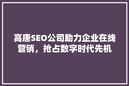 高唐SEO公司助力企业在线营销，抢占数字时代先机