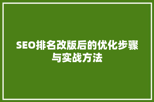 SEO排名改版后的优化步骤与实战方法