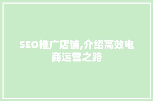 SEO推广店铺,介绍高效电商运营之路