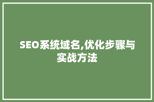 SEO系统域名,优化步骤与实战方法