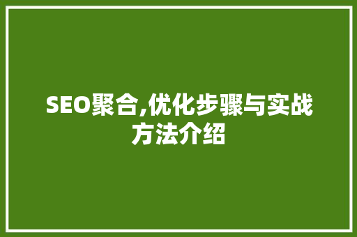 SEO聚合,优化步骤与实战方法介绍 SEO聚合,优化步骤与实战方法介绍