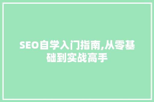 SEO自学入门指南,从零基础到实战高手 SEO自学入门指南,从零基础到实战高手