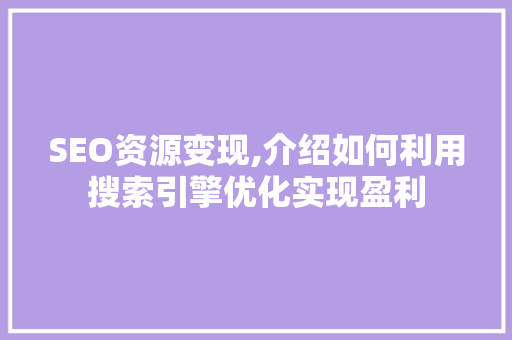 SEO资源变现,介绍如何利用搜索引擎优化实现盈利