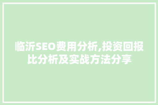 临沂SEO费用分析,投资回报比分析及实战方法分享