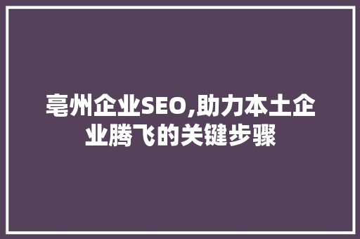 亳州企业SEO,助力本土企业腾飞的关键步骤