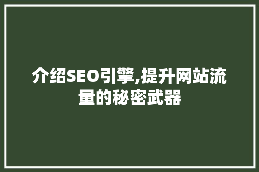 介绍SEO引擎,提升网站流量的秘密武器