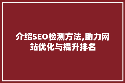 介绍SEO检测方法,助力网站优化与提升排名