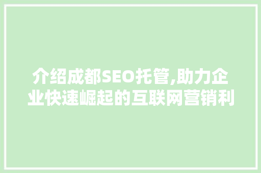 介绍成都SEO托管,助力企业快速崛起的互联网营销利器