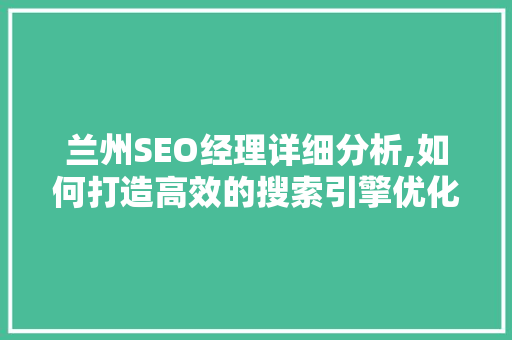 兰州SEO经理详细分析,如何打造高效的搜索引擎优化步骤