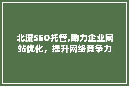 北流SEO托管,助力企业网站优化，提升网络竞争力