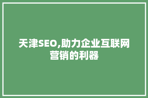 天津SEO,助力企业互联网营销的利器