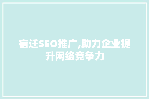 宿迁SEO推广,助力企业提升网络竞争力 编程语言
