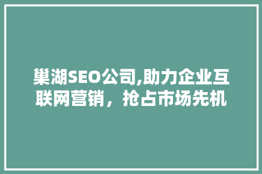 巢湖SEO公司,助力企业互联网营销，抢占市场先机