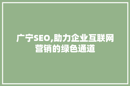 广宁SEO,助力企业互联网营销的绿色通道