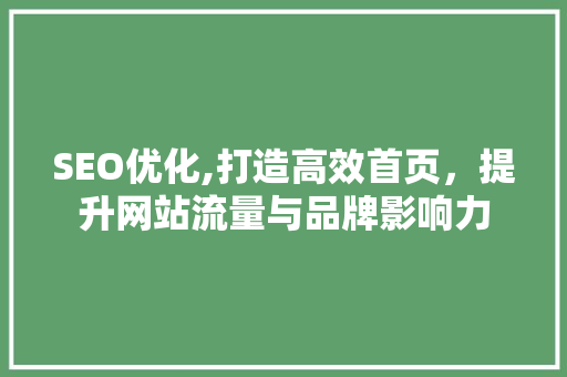 SEO优化,打造高效首页，提升网站流量与品牌影响力
