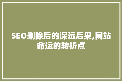 SEO删除后的深远后果,网站命运的转折点