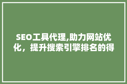 SEO工具代理,助力网站优化，提升搜索引擎排名的得力助手