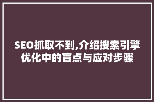 SEO抓取不到,介绍搜索引擎优化中的盲点与应对步骤