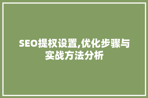 SEO提权设置,优化步骤与实战方法分析