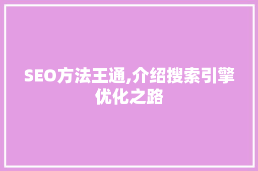 SEO方法王通,介绍搜索引擎优化之路 编程语言