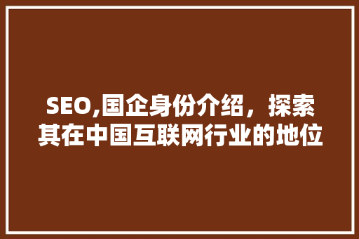 SEO,国企身份介绍，探索其在中国互联网行业的地位与作用