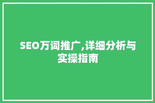 SEO万词推广,详细分析与实操指南 操作系统