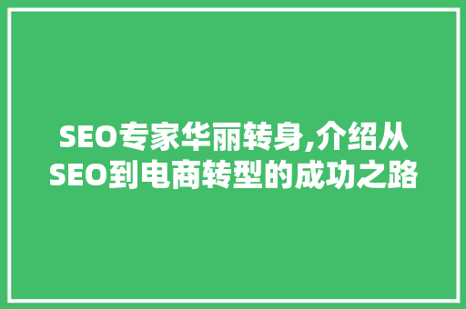 SEO专家华丽转身,介绍从SEO到电商转型的成功之路