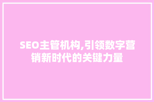SEO主管机构,引领数字营销新时代的关键力量