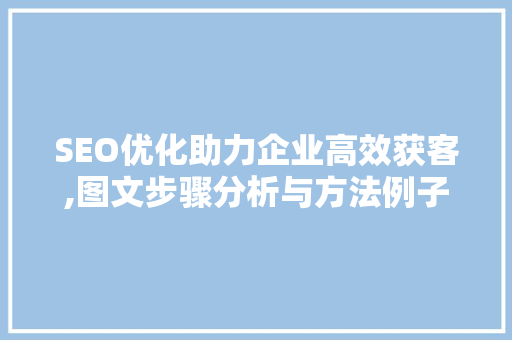 SEO优化助力企业高效获客,图文步骤分析与方法例子