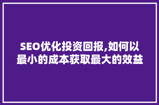 SEO优化投资回报,如何以最小的成本获取最大的效益