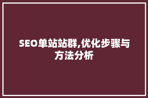 SEO单站站群,优化步骤与方法分析