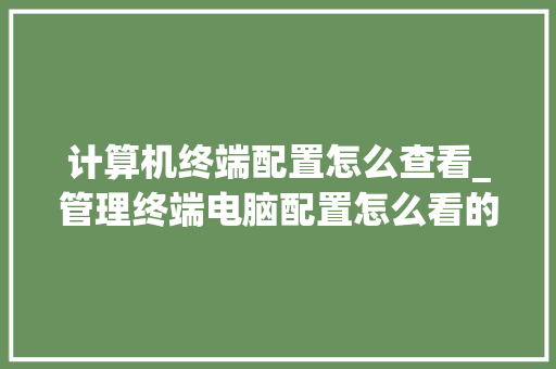 计算机终端配置怎么查看_管理终端电脑配置怎么看的