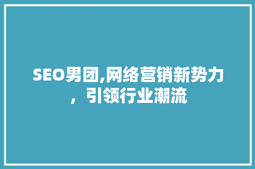 SEO男团,网络营销新势力,引领行业潮流 SEO男团,网络营销新势力,引领行业潮流