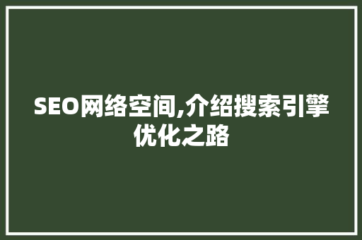 SEO网络空间,介绍搜索引擎优化之路