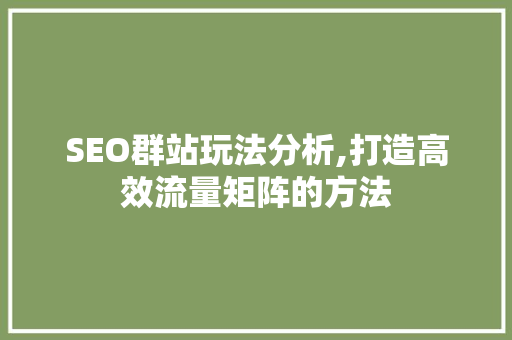 SEO群站玩法分析,打造高效流量矩阵的方法