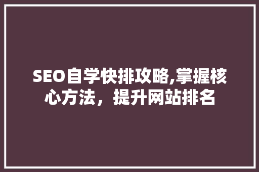 SEO自学快排攻略,掌握核心方法，提升网站排名