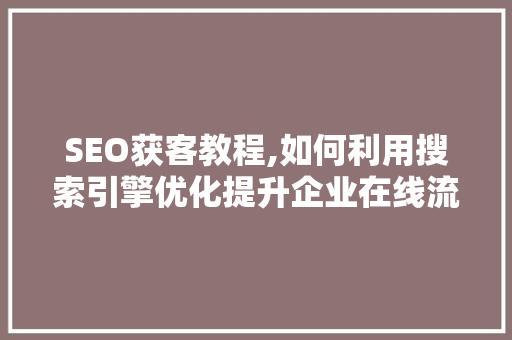 SEO获客教程,如何利用搜索引擎优化提升企业在线流量与转化