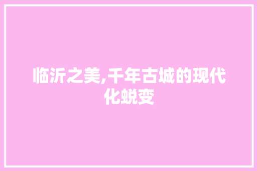 临沂之美,千年古城的现代化蜕变