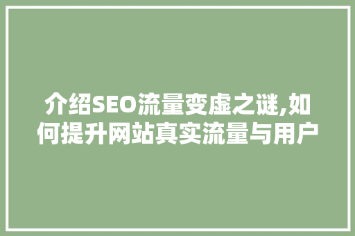 介绍SEO流量变虚之谜,如何提升网站真实流量与用户体验 介绍SEO流量变虚之谜,如何提升网站真实流量与用户体验