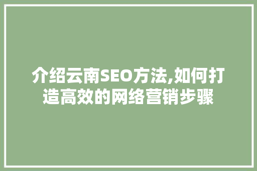 介绍云南SEO方法,如何打造高效的网络营销步骤