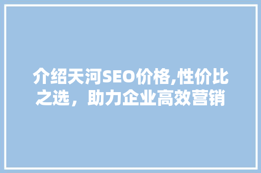 介绍天河SEO价格,性价比之选，助力企业高效营销