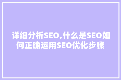 详细分析SEO,什么是SEO如何正确运用SEO优化步骤