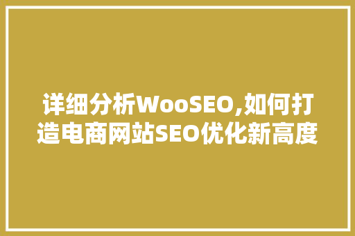 详细分析WooSEO,如何打造电商网站SEO优化新高度