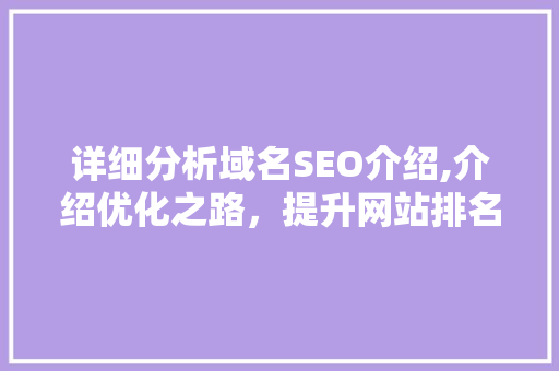 详细分析域名SEO介绍,介绍优化之路，提升网站排名