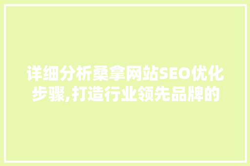 详细分析桑拿网站SEO优化步骤,打造行业领先品牌的关键