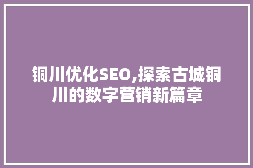 铜川优化SEO,探索古城铜川的数字营销新篇章 铜川优化SEO,探索古城铜川的数字营销新篇章