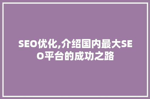 SEO优化,介绍国内最大SEO平台的成功之路
